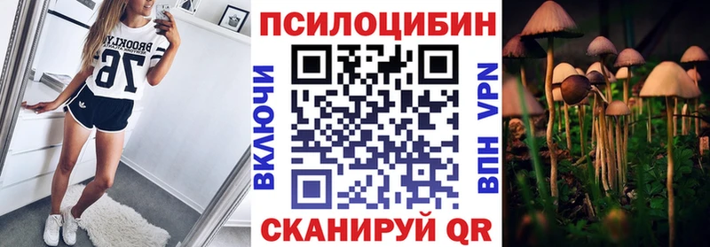 OMG сайт  купить наркотик  Курган  Галлюциногенные грибы MAGIC MUSHROOMS 