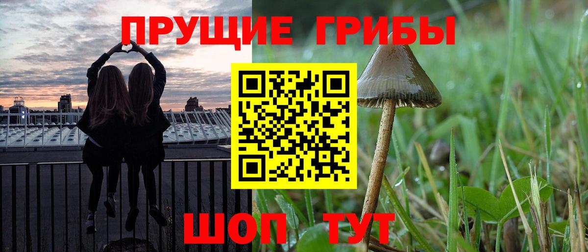 Псилоцибиновые грибы ЛСД  Вход с VPN  Курган 